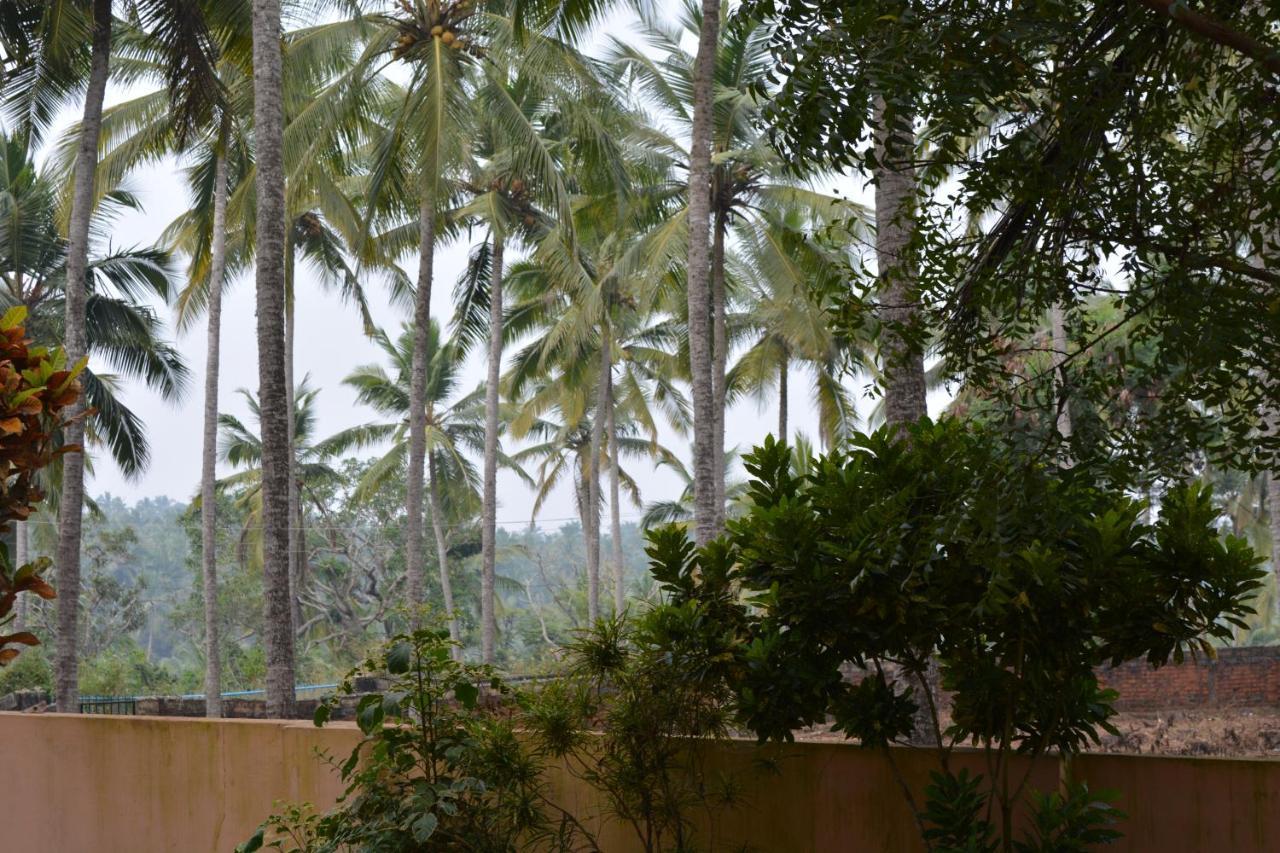 Indeevaram Apartments Kovalam Eksteriør billede